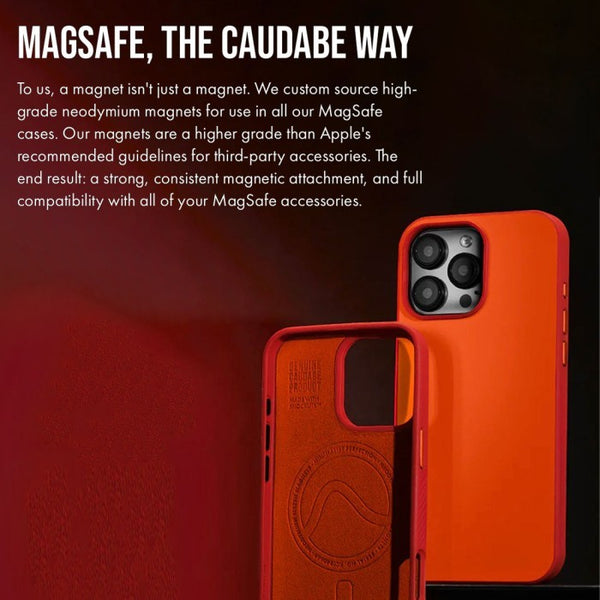 Caudabe Paragon Case iPhone 16 Pro