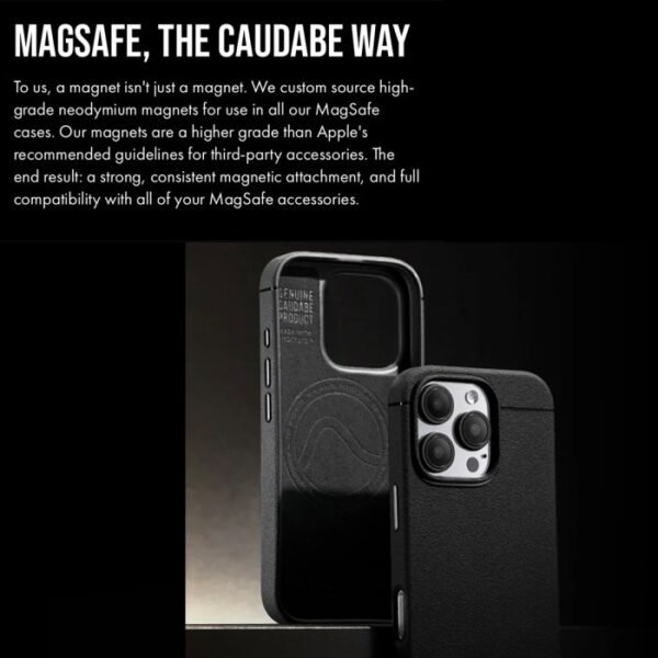 Caudabe Sheath Case iPhone 16 - Image 5